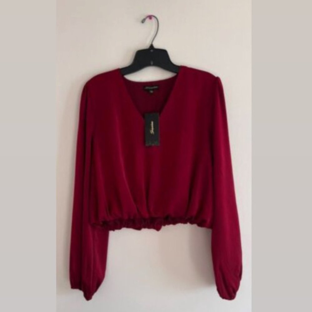 Shinestar V Neck with Silky Long Sleeves, Crop Top in Color Red, size (S)